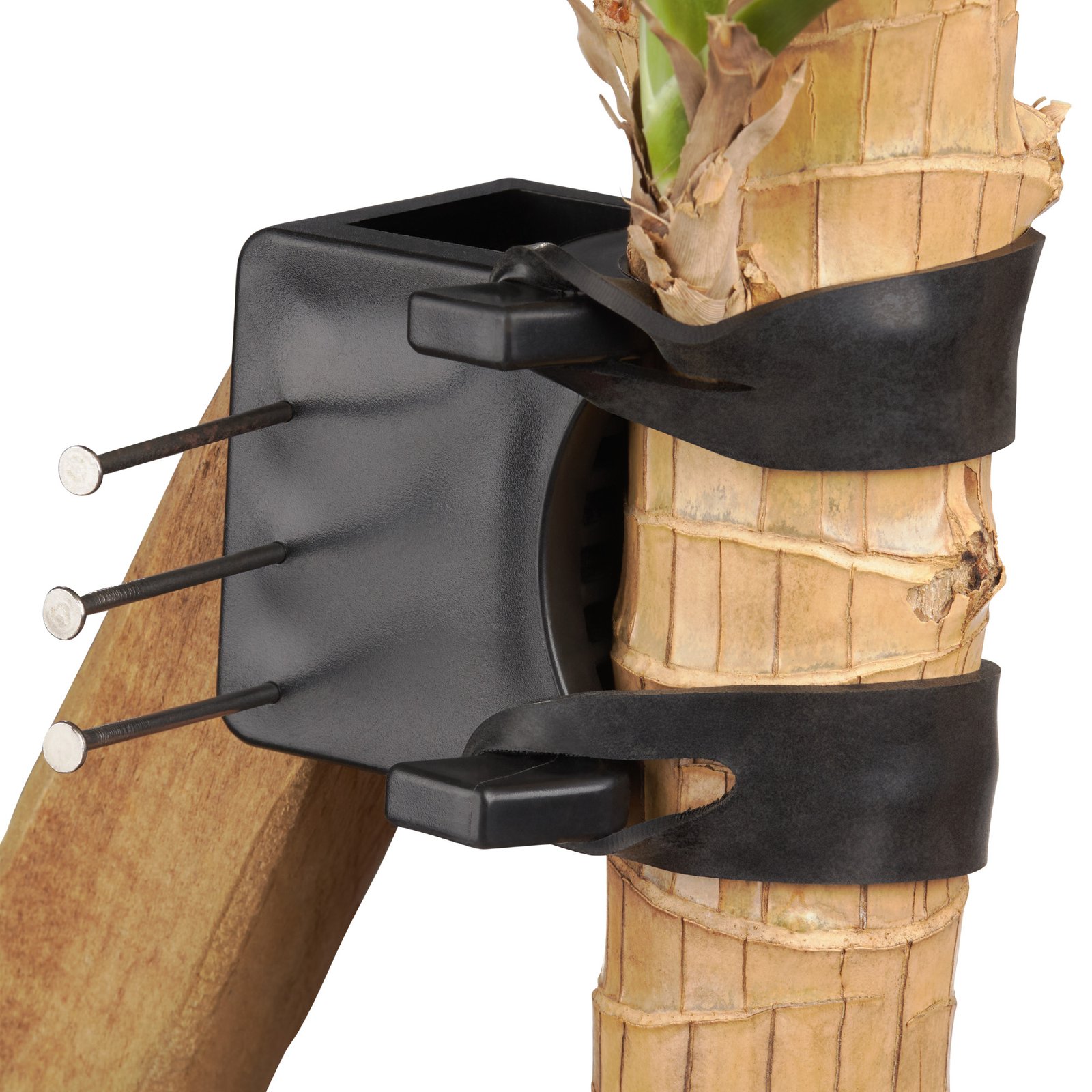 tree support for young trees-RKRMicro